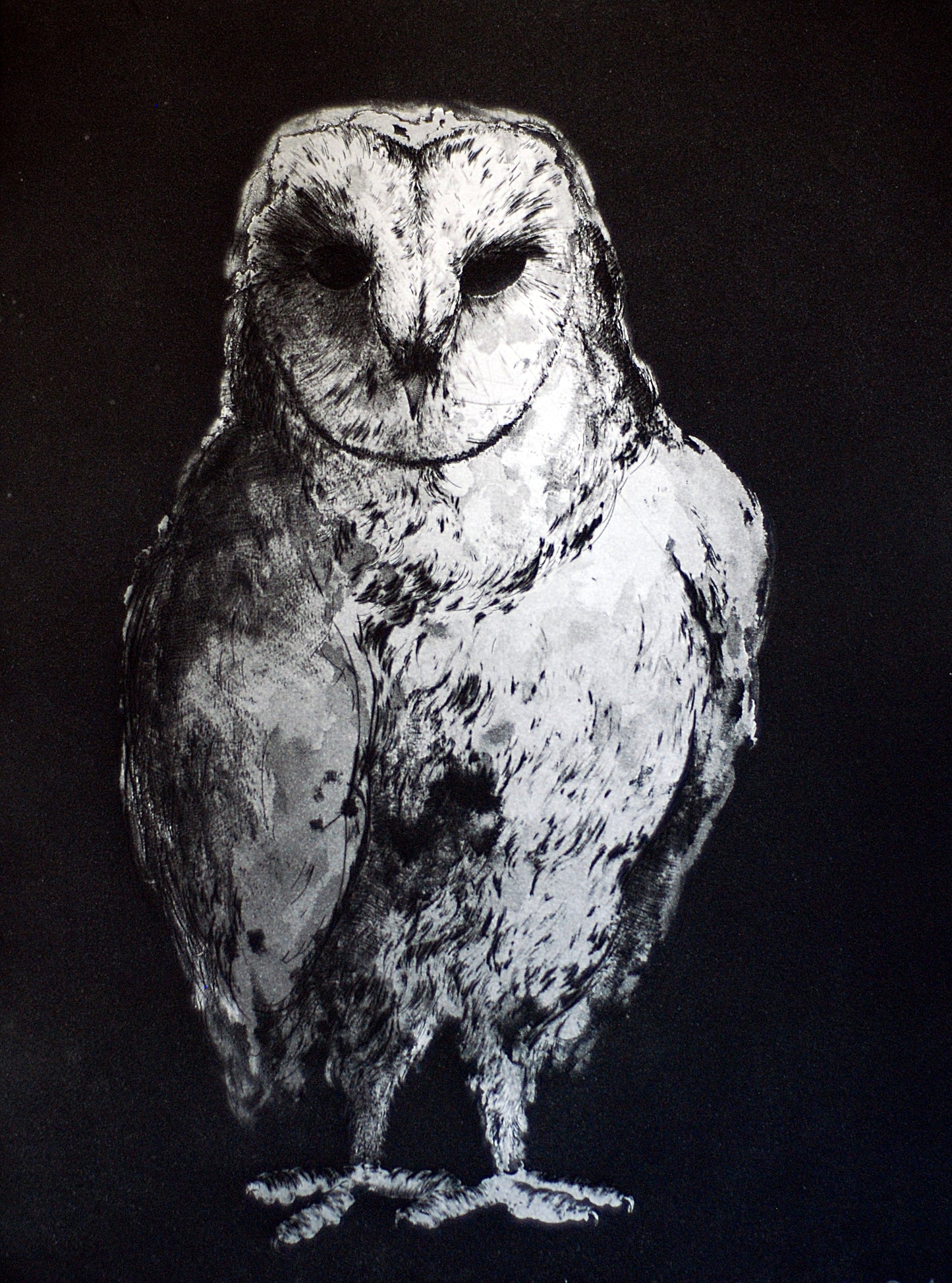 Hibou