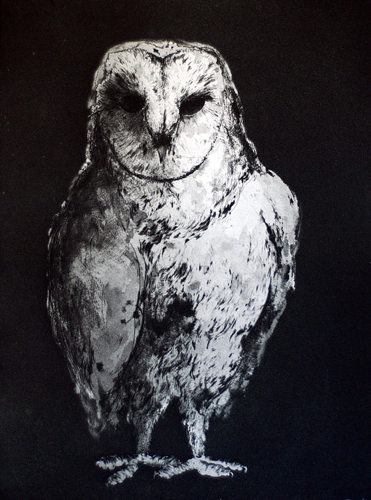Hibou