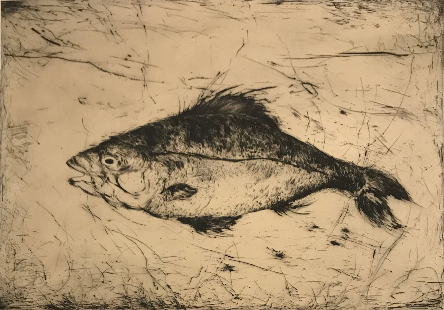 Poisson