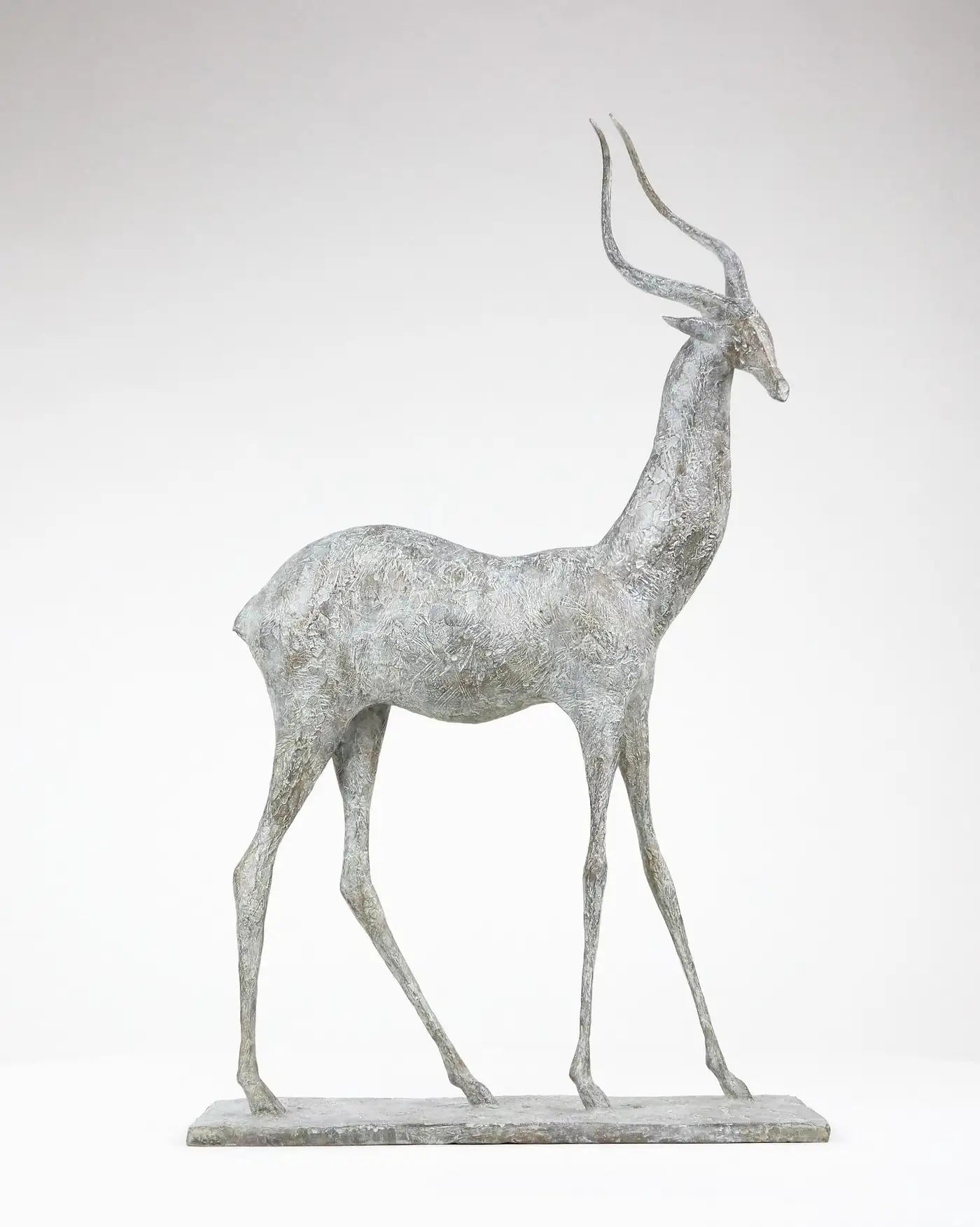 Gazelle I