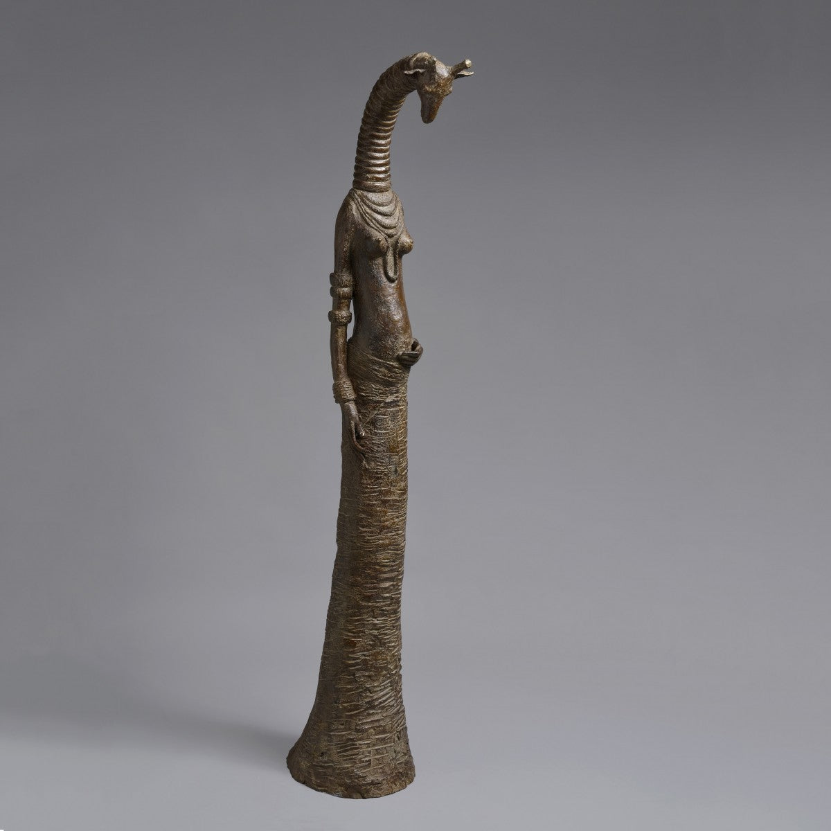 Grande Girafe enceinte
