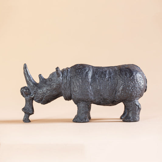 Moi et mon rhinocéros