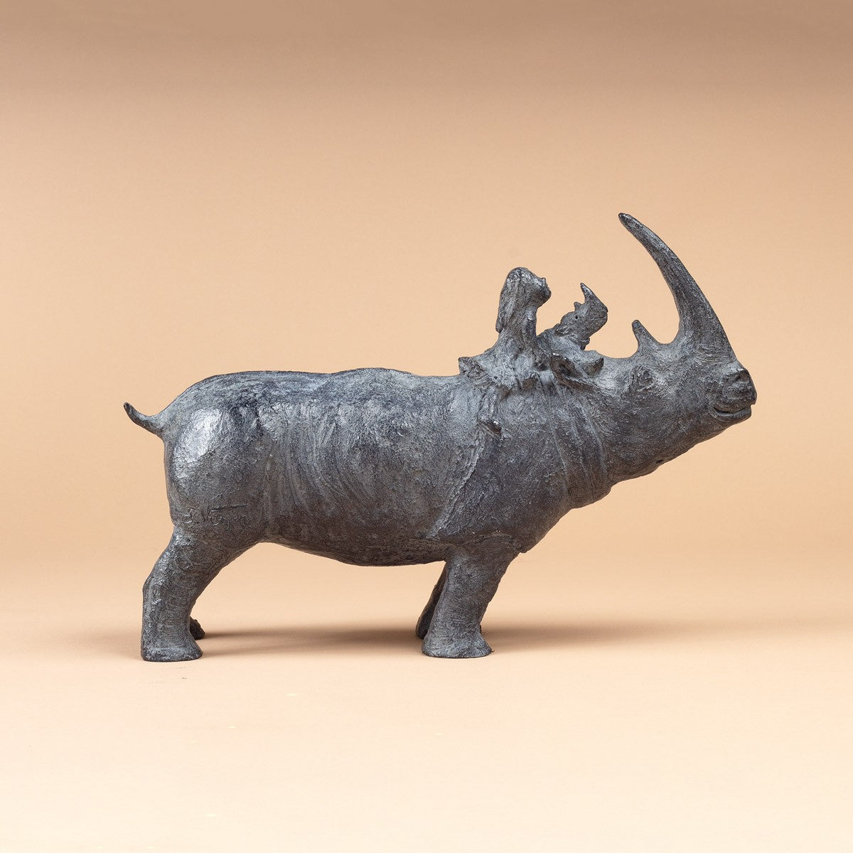 Rhinocéros et sa cavalière